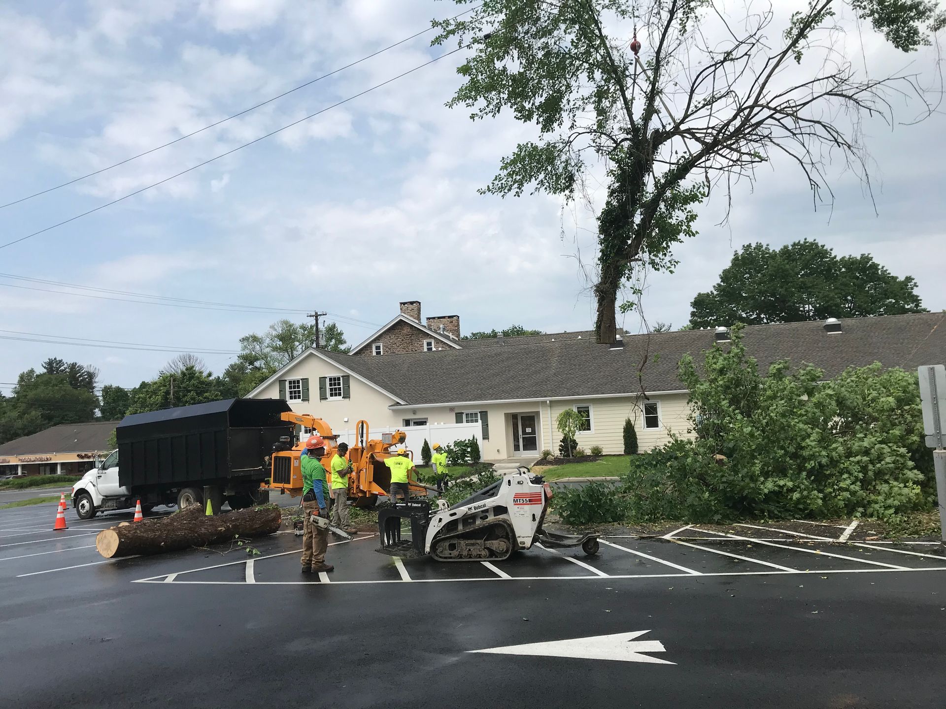 Tree removal crew working near a building; men in vests, truck, and a small loader are visible.
