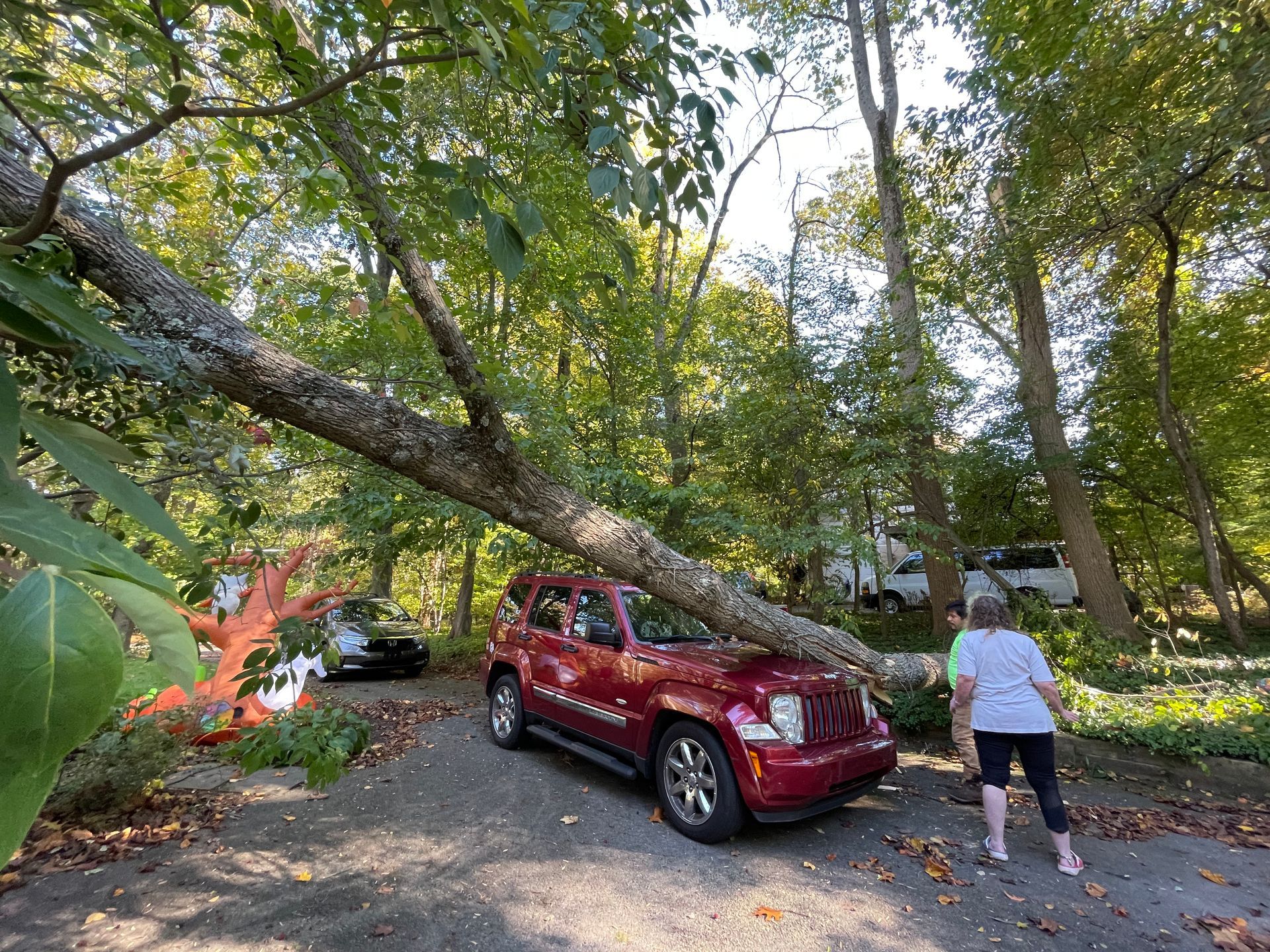 Red SUV with a fallen tree branch on top; person nearby. Driveway in wooded area.