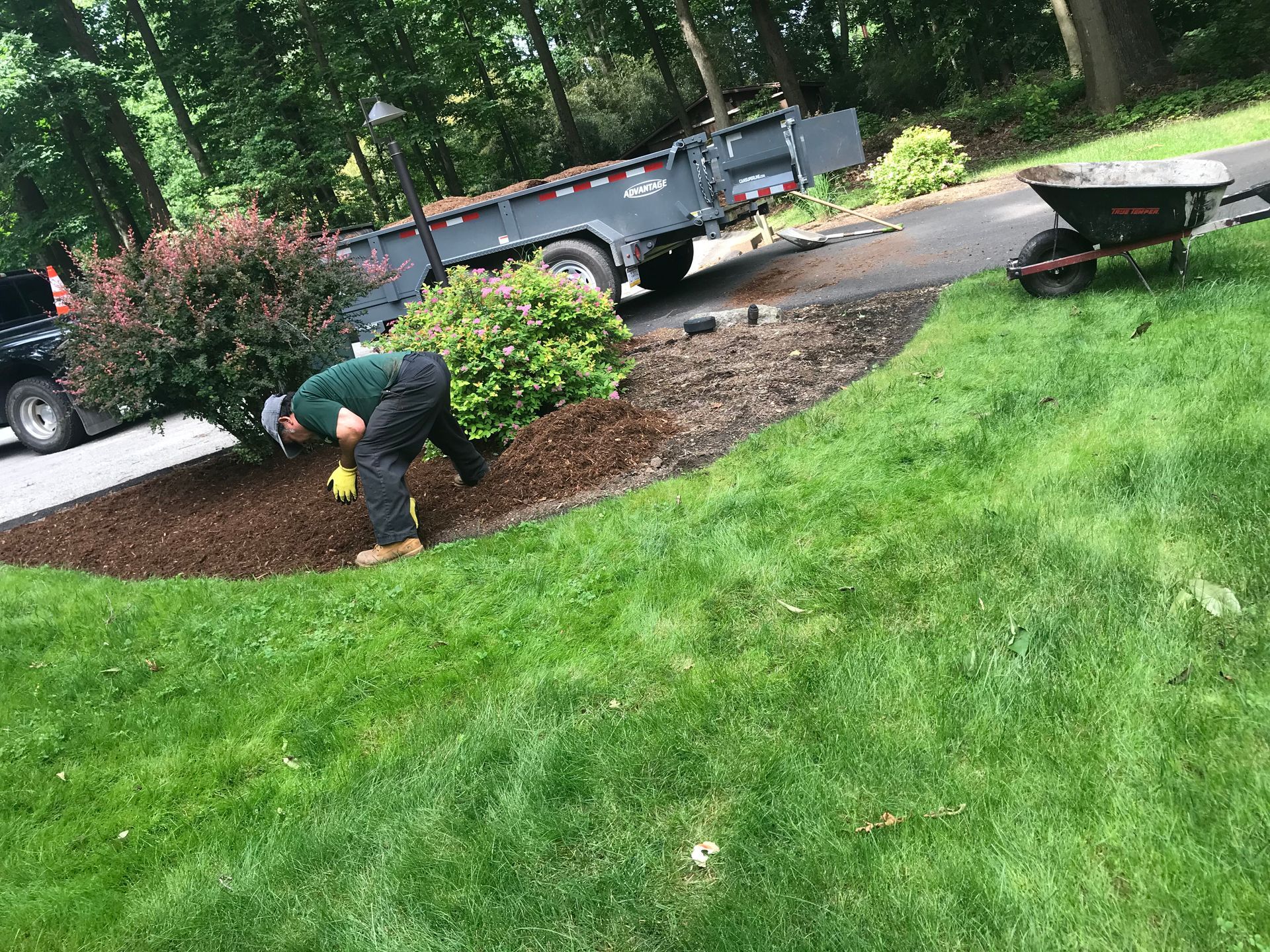Man mulching a landscaped flower bed with trailer and wheelbarrow nearby.