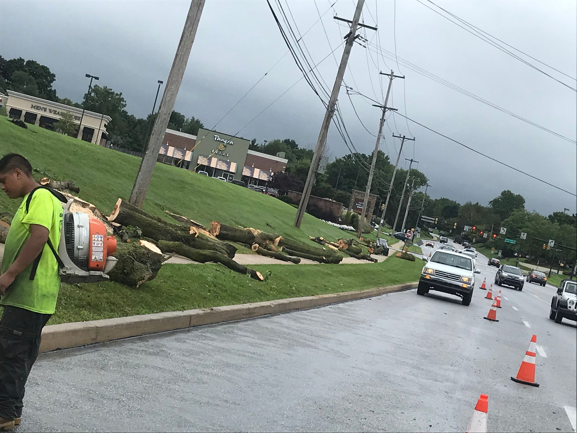 Man with leaf blower near fallen trees and power lines, street with traffic.