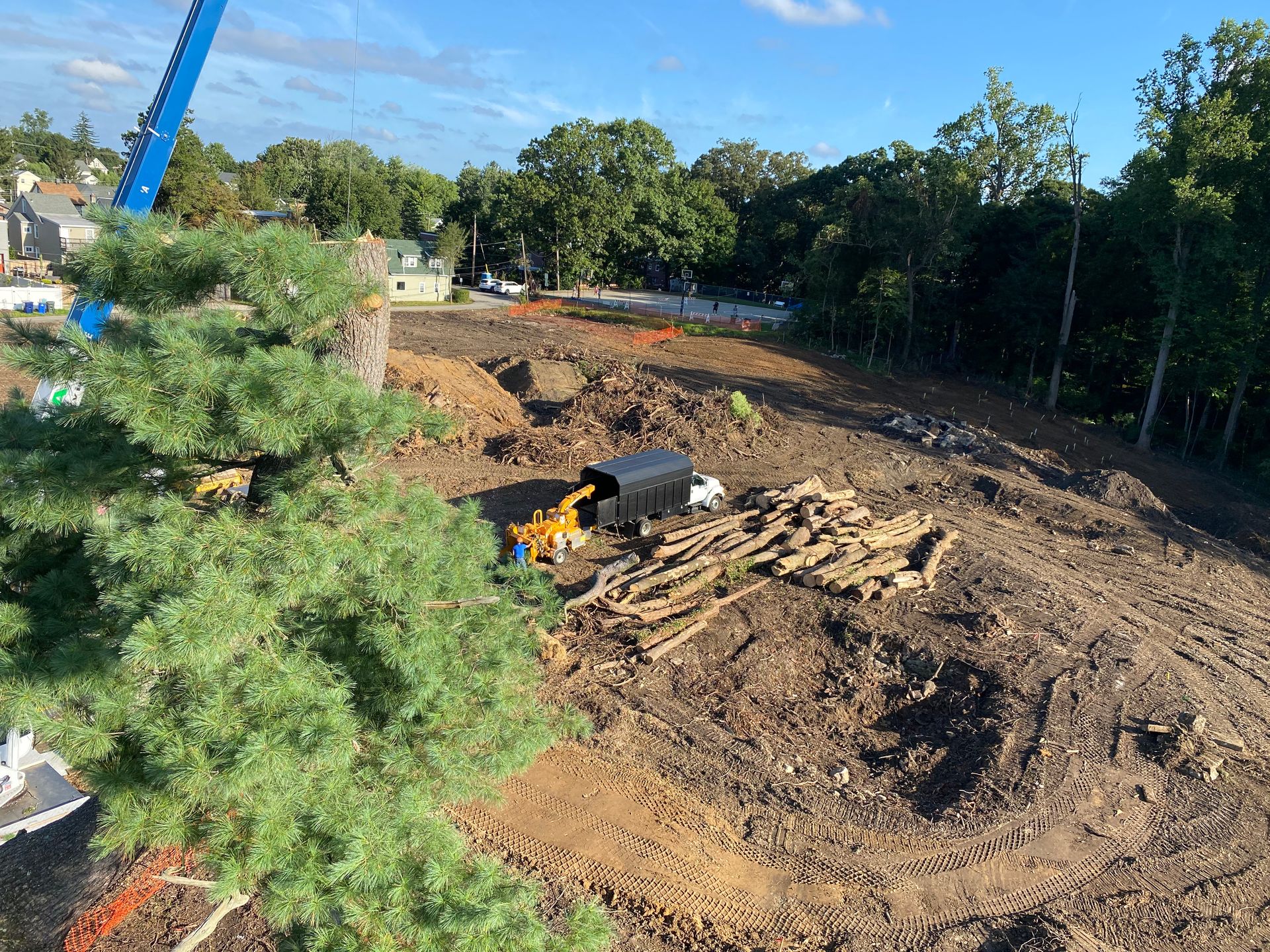 Construction site with exposed dirt, felled trees, and heavy machinery under a blue sky.