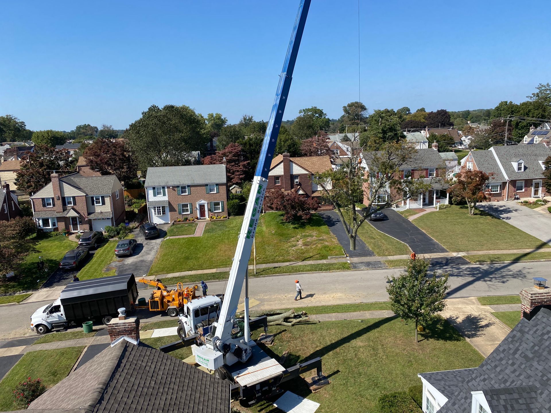 Crane removing tree branches in a residential neighborhood on a sunny day.