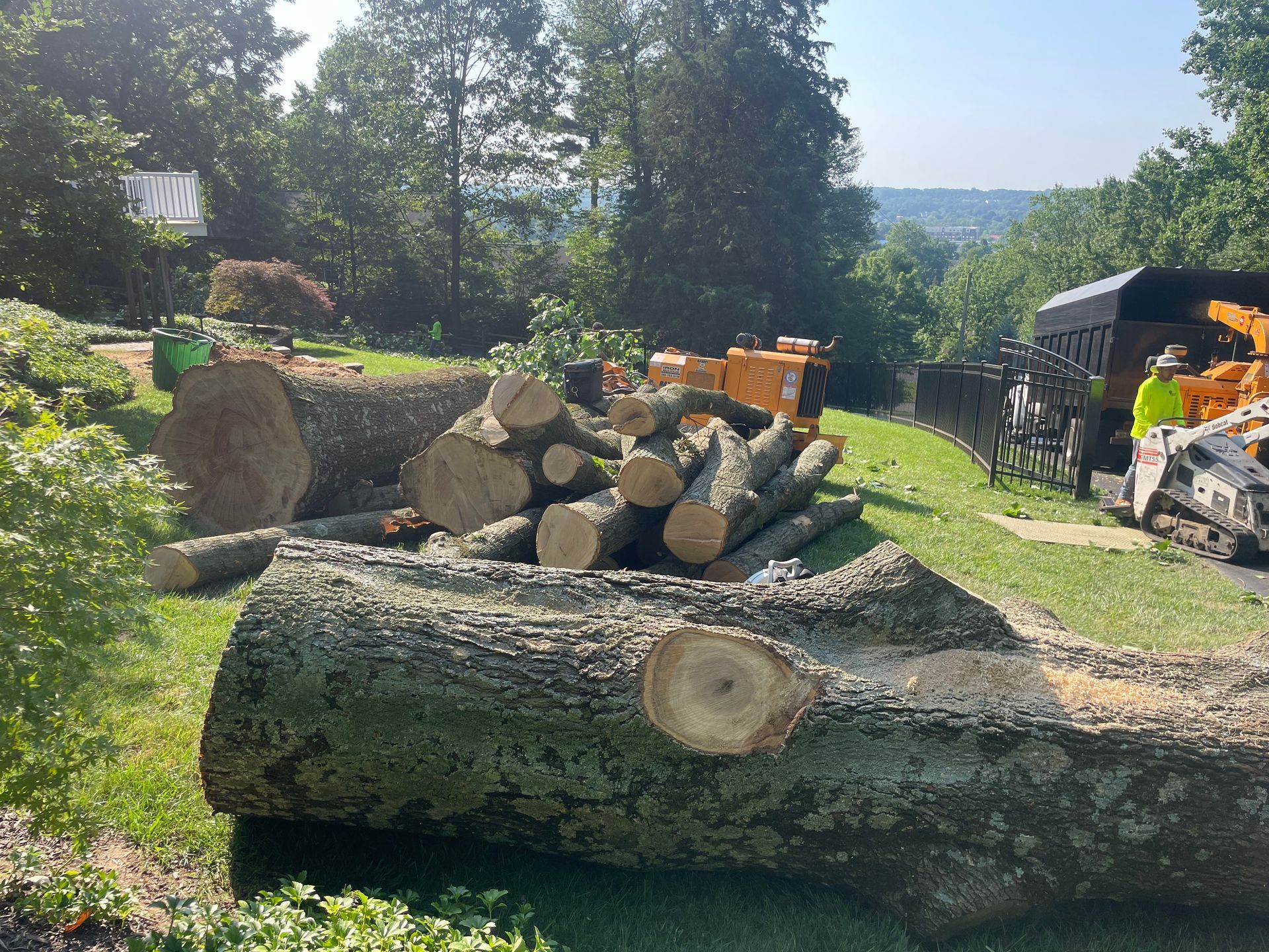 Felled tree logs on grass, wood chipper, worker loading truck, trees and sky visible.