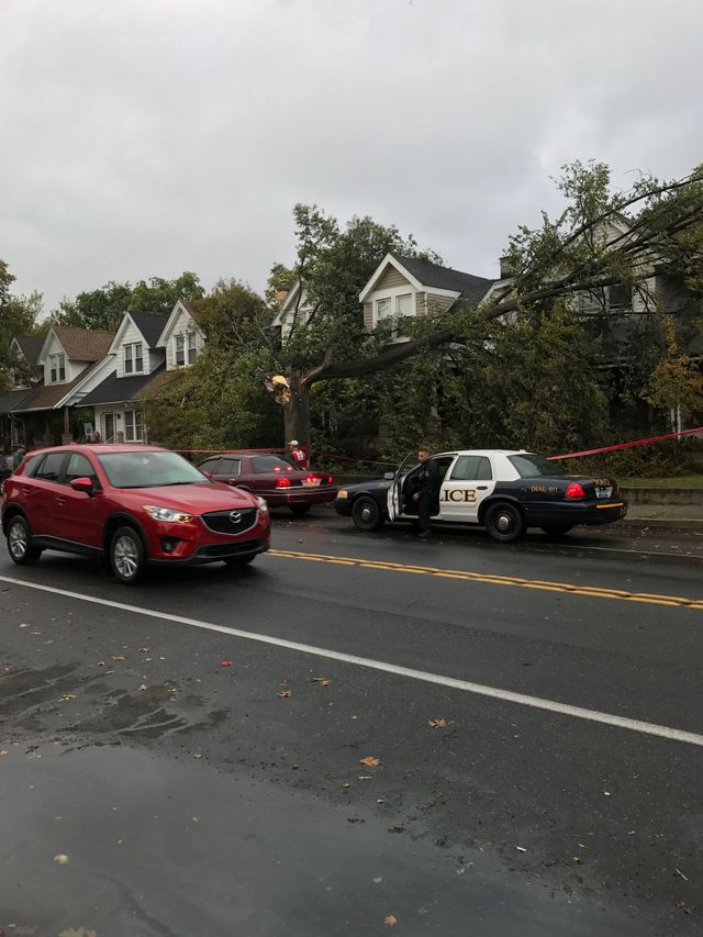 Cars on a wet street blocked by a tree fallen onto a house; police car on scene.