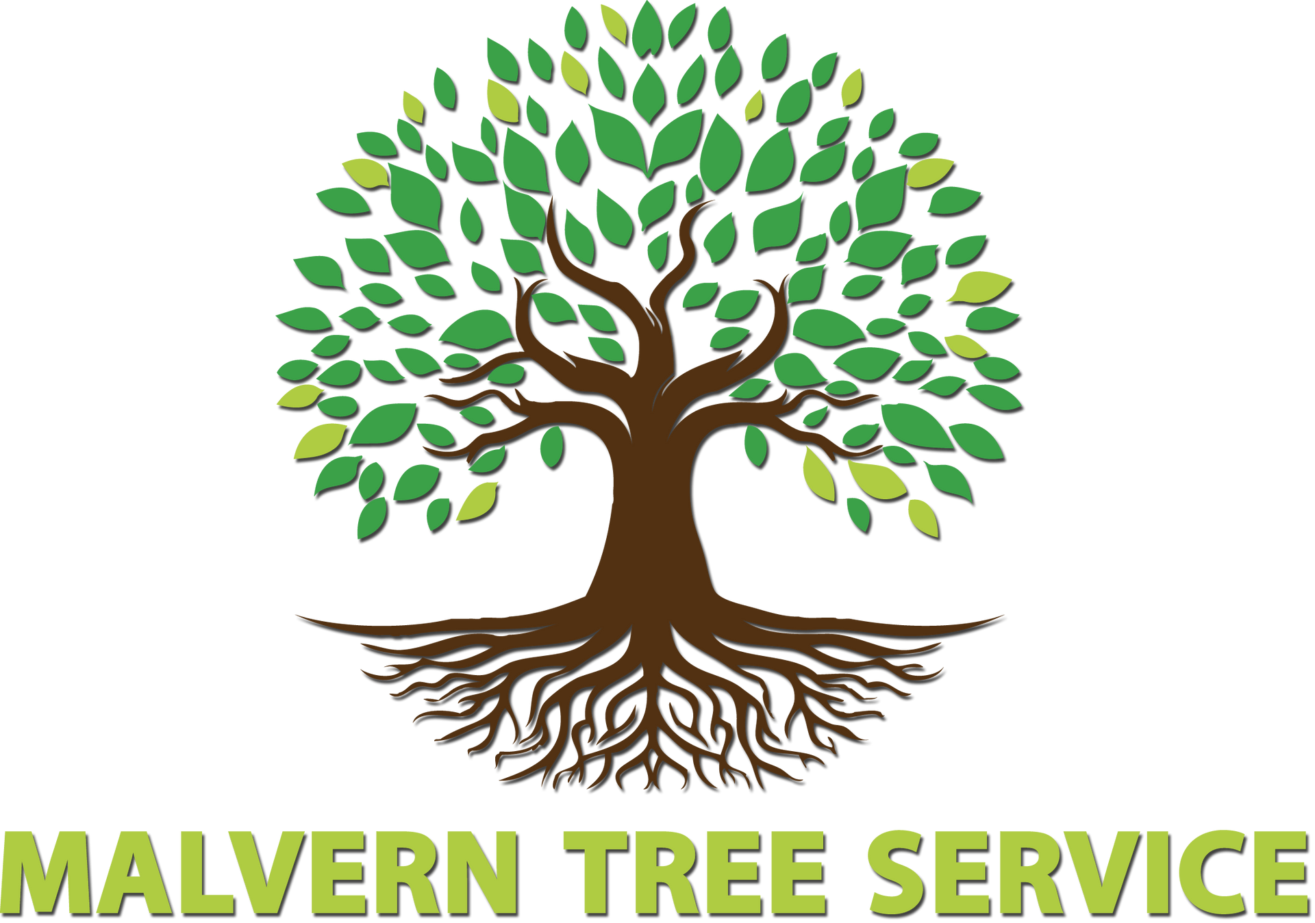 Logo of a brown tree with green leaves and roots, below text