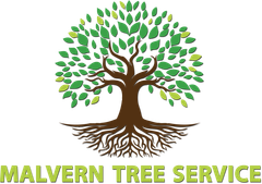 Logo of a brown tree with green leaves and roots, below text 