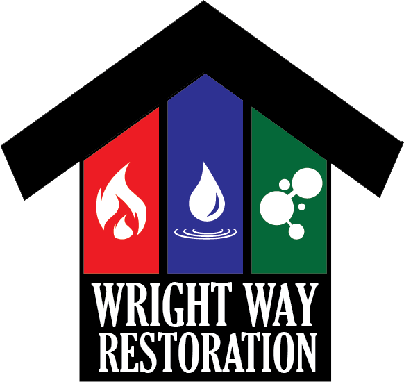 Mold Removal  WrightWay Emergency Services