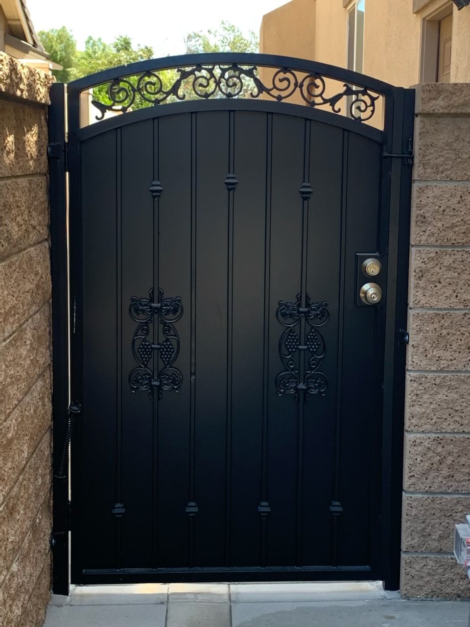 Sleek iron gate