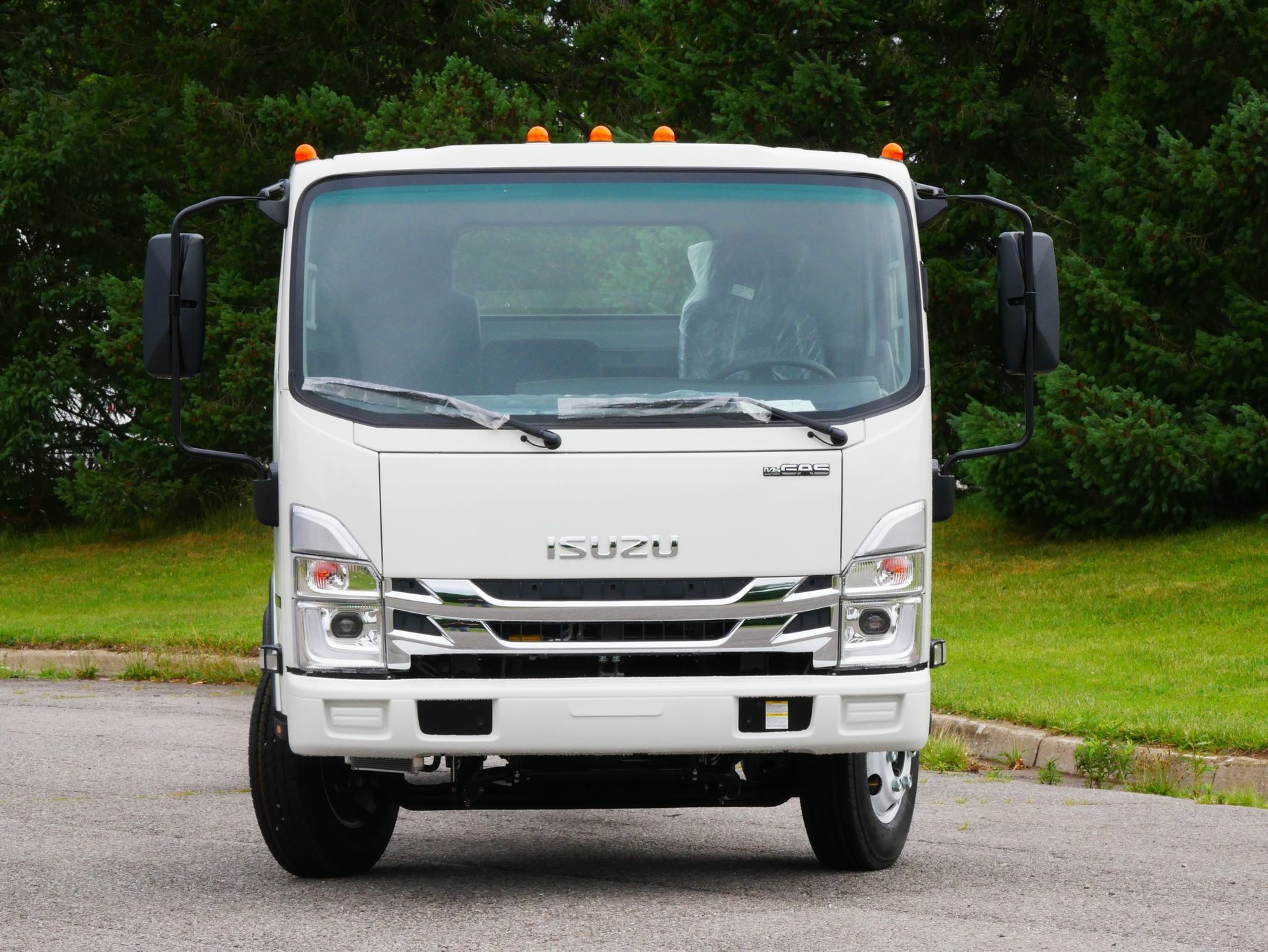 White Isuzu cab-over truck parked on asphalt, facing forward. Green grass and trees in the background.