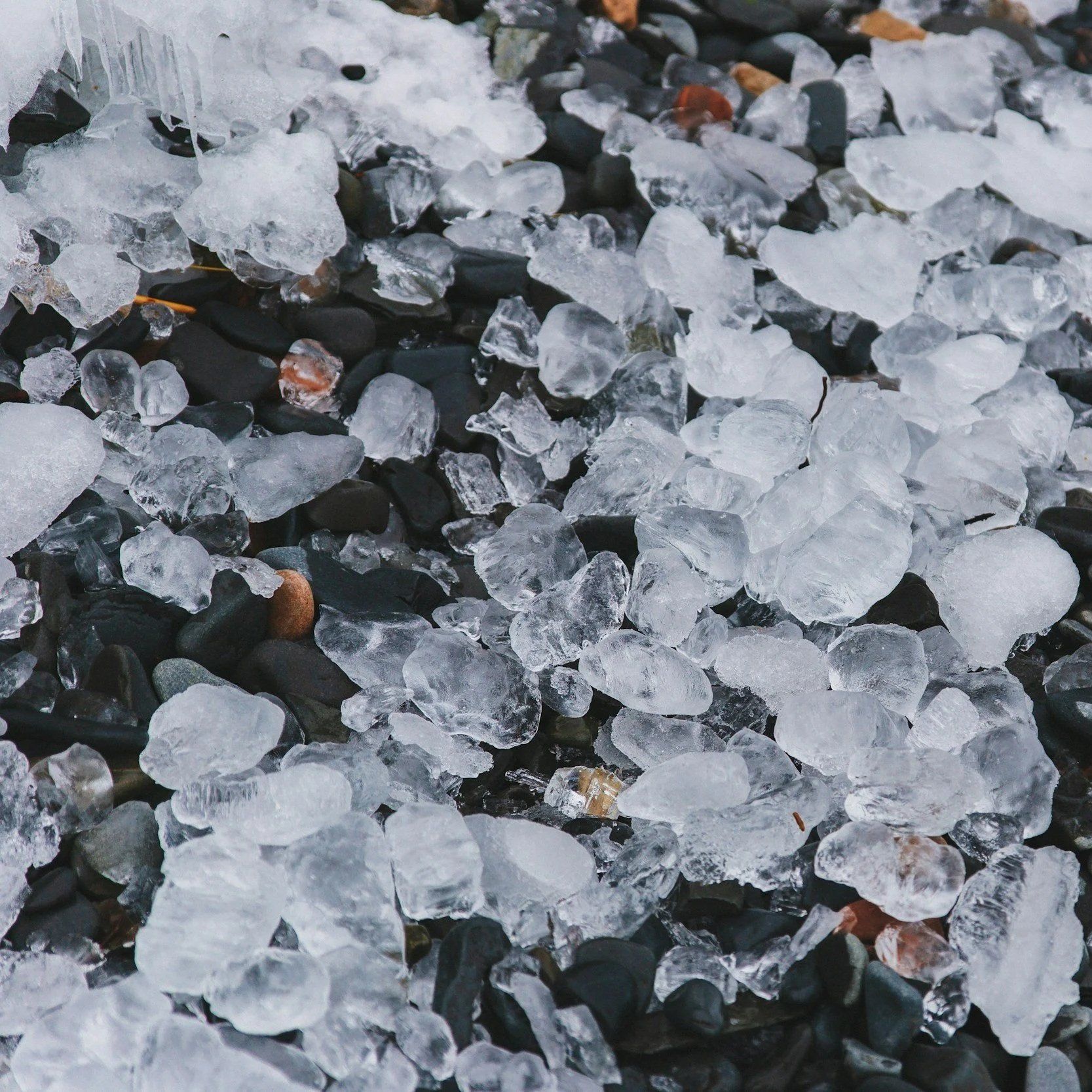 Close-up of scattered ice pellets over dark gravel, with a few brown leaves visible