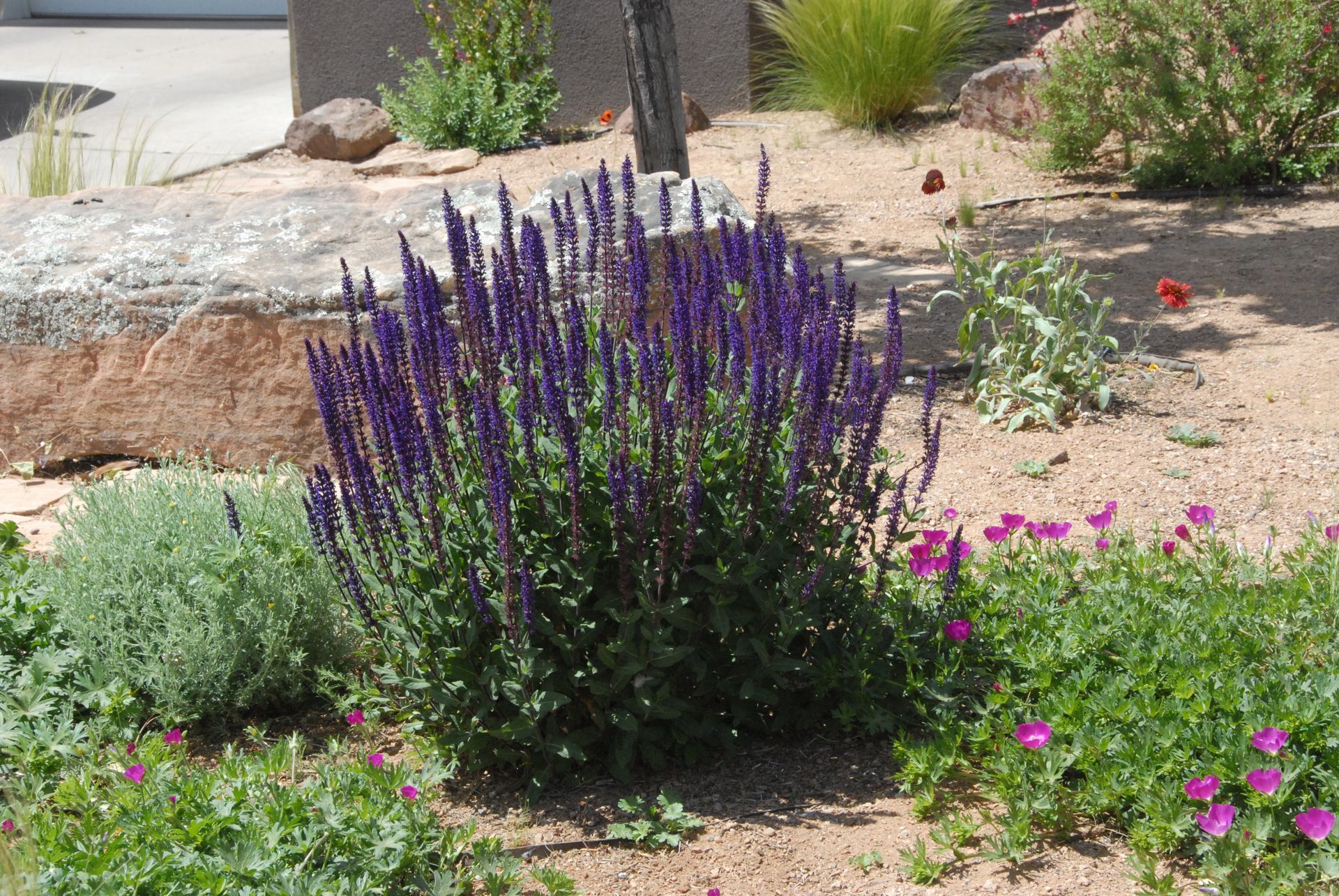 Shelly Landscaping
