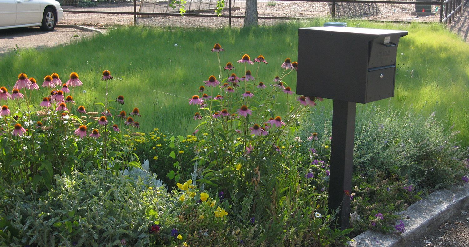 Shelly Landscaping