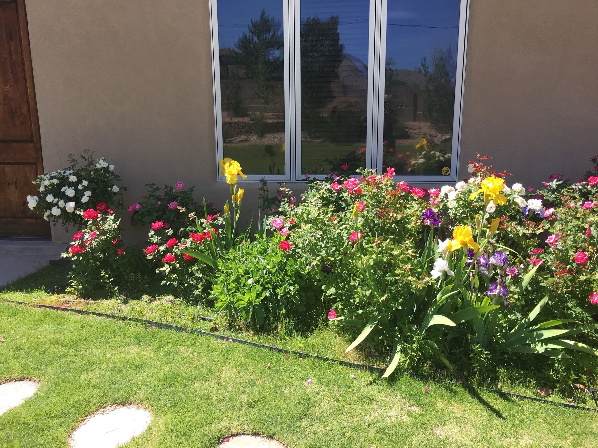Colorful flower bed in front of a house with green lawn and stone walkway, bright sunlight.