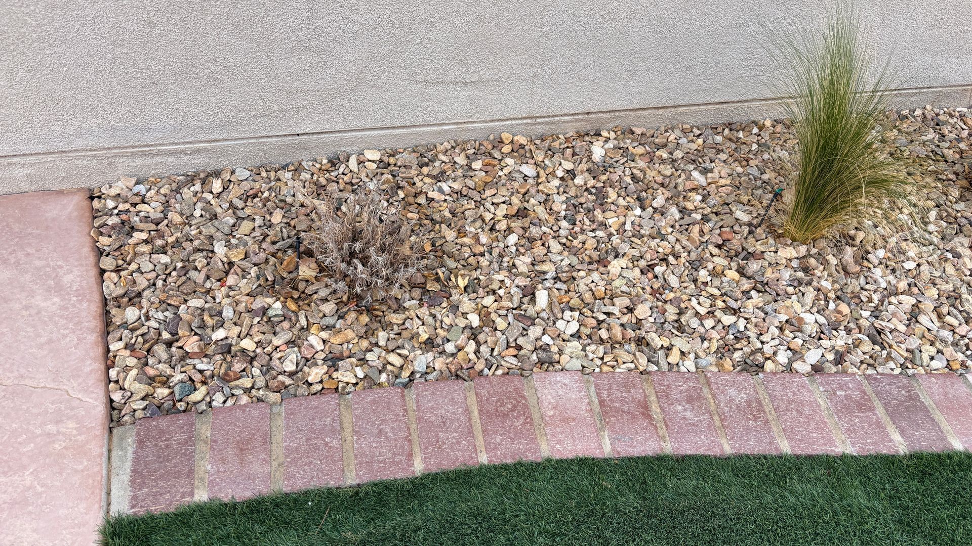 A bed of gravel and small plants bordered by brick and green grass against a textured wall.
