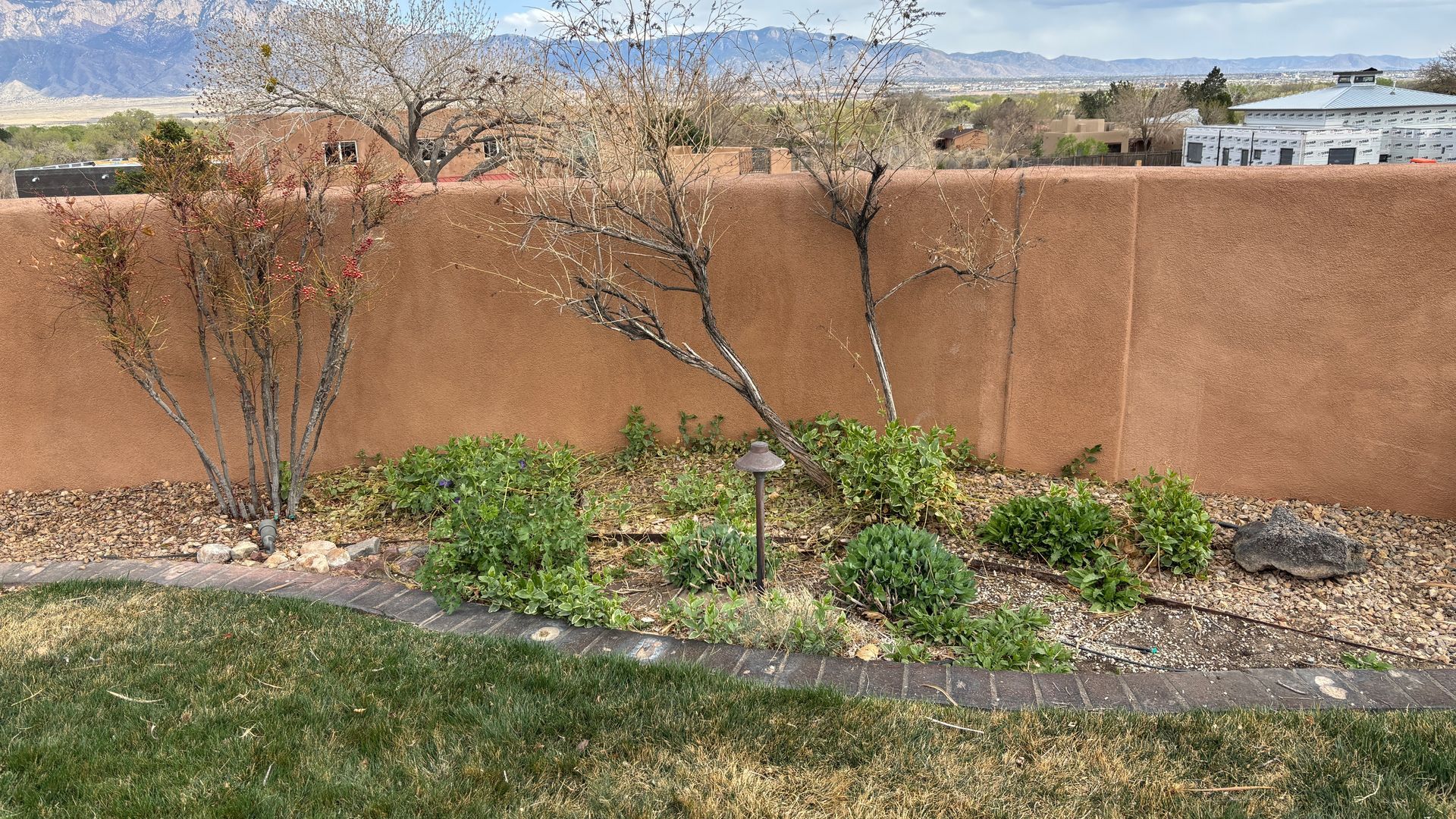 Garden bed with small trees, shrubs, and a pathway against a terracotta wall, with a distant mountain view.