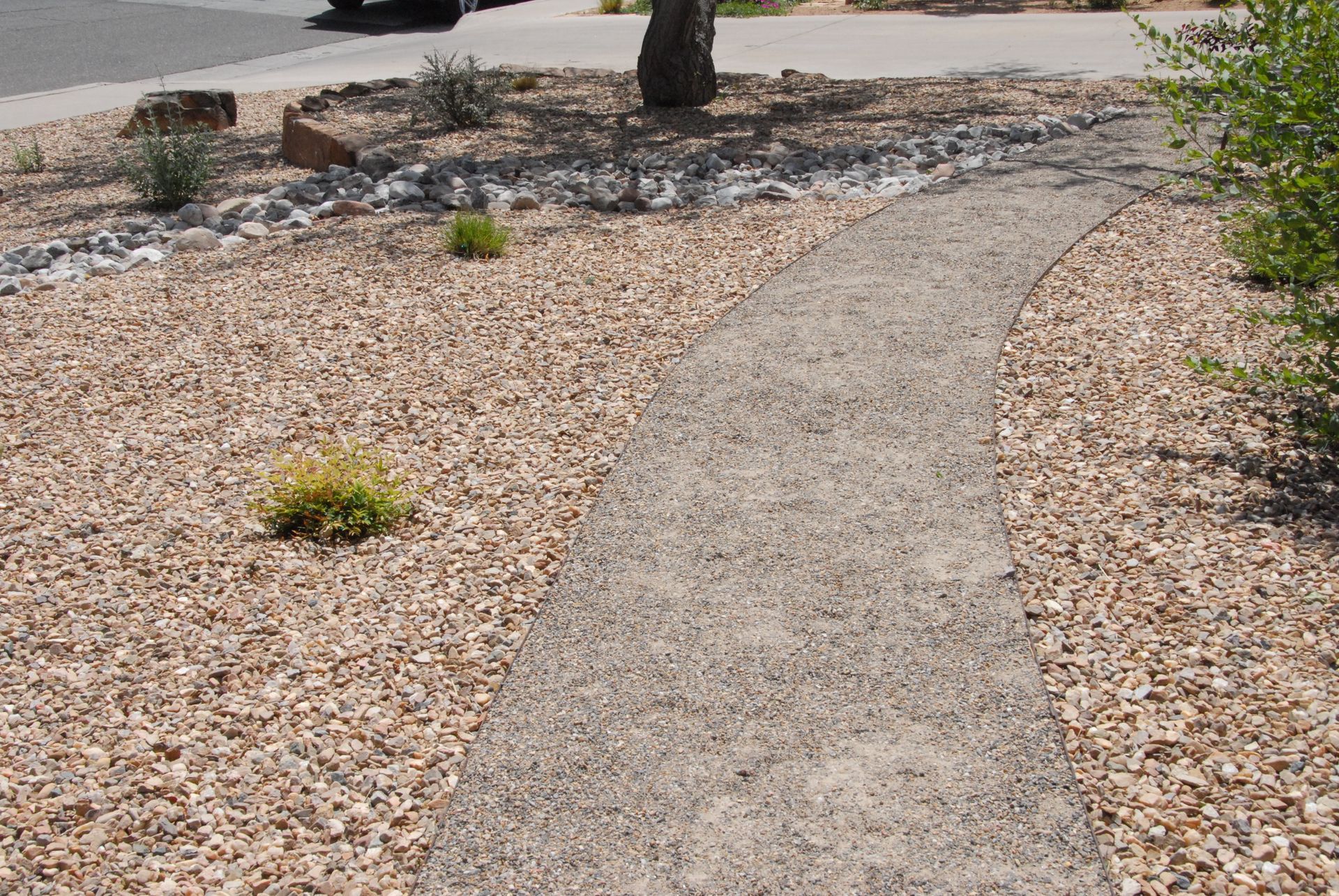 Gravel path winds through a xeriscape garden with brown gravel and sparse greenery.