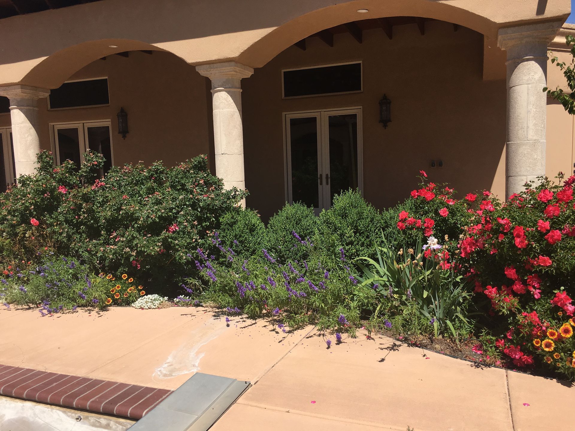 Tan building with arched entryway and columns, surrounded by flowering bushes on a sunny day.