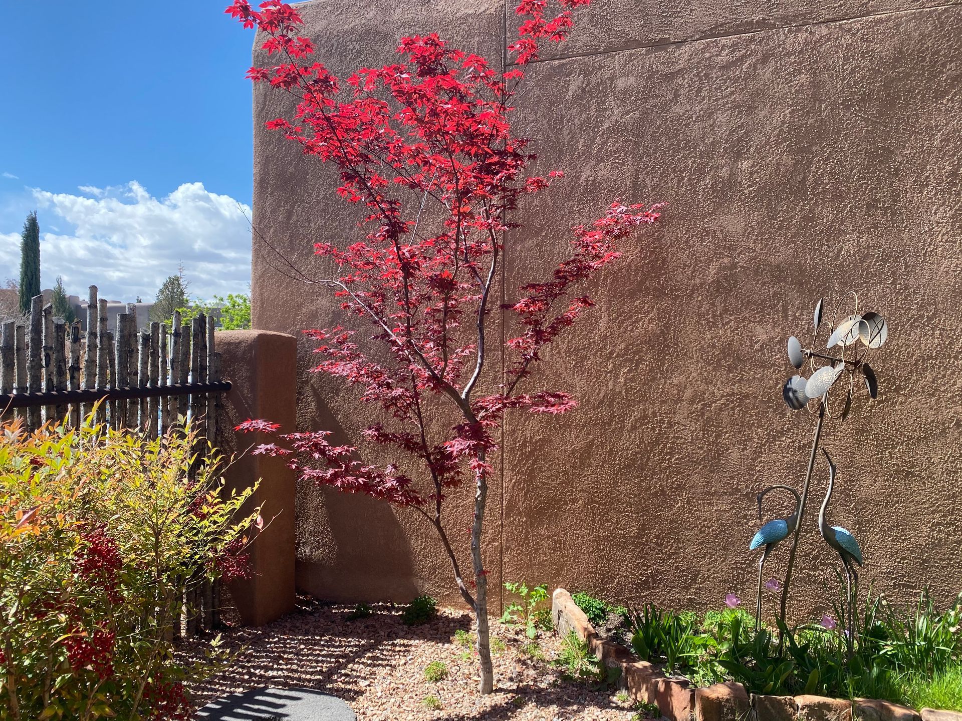 Red-leafed tree in front of a stucco wall with decorative metal bird sculptures and a small garden.