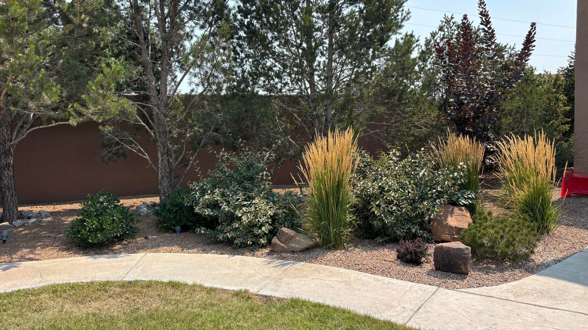 A garden bed with various green and gold plants, set against a brown wall, a gravel bed, and a concrete walkway.