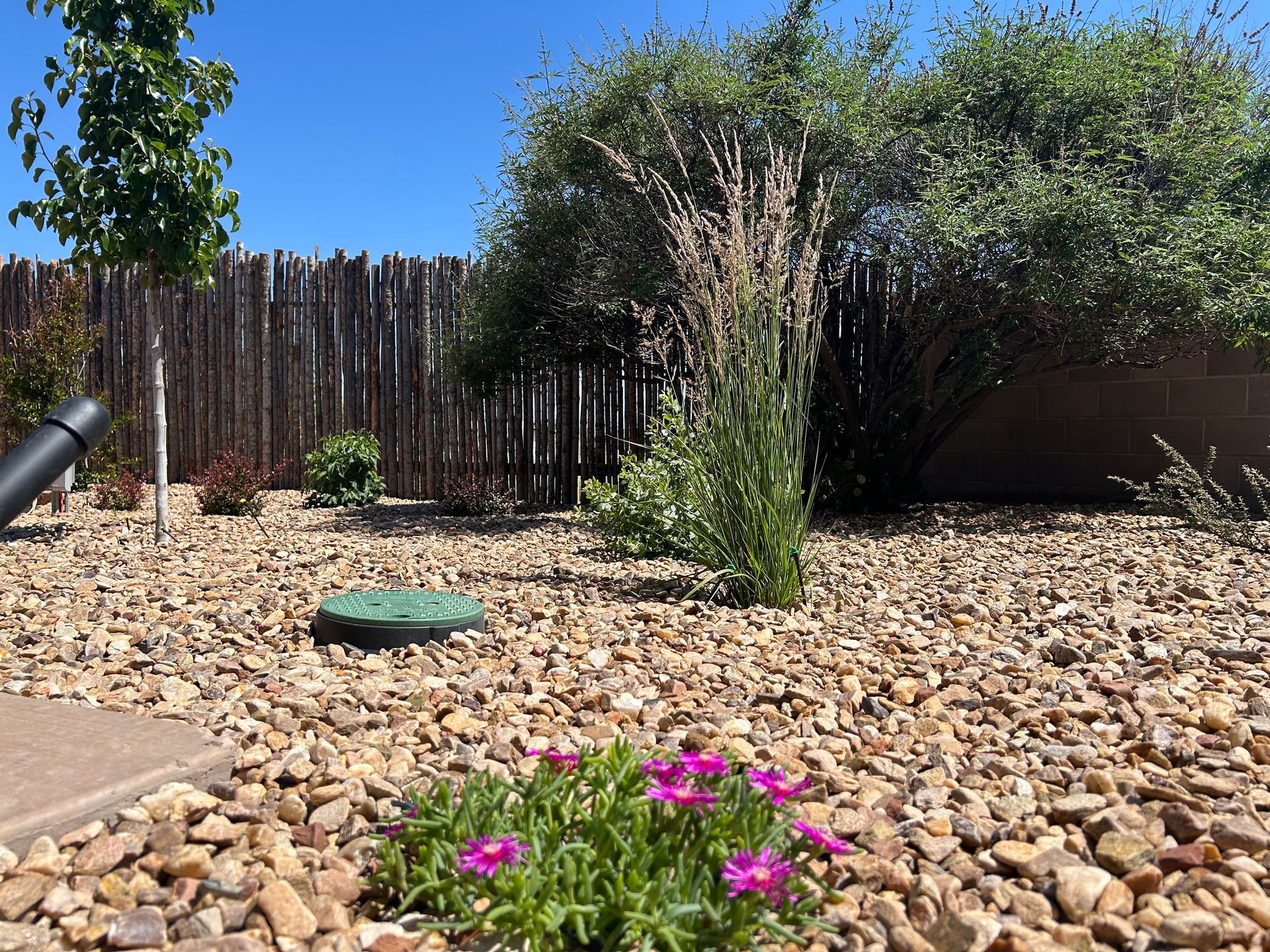 Gravel garden with pink flowers, green plants, and brown fence against a blue sky.