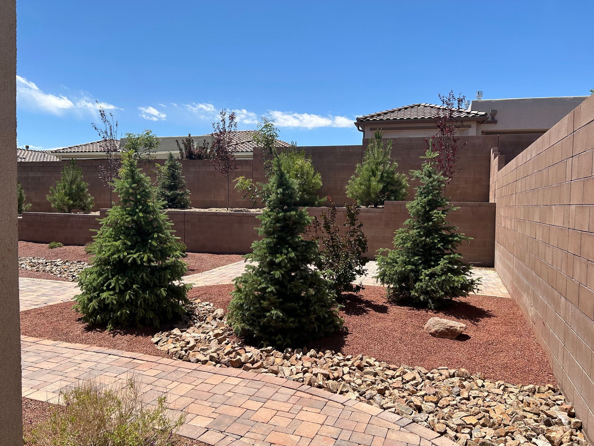 Backyard with evergreen trees, brick walkway, and stone landscaping under a blue sky.