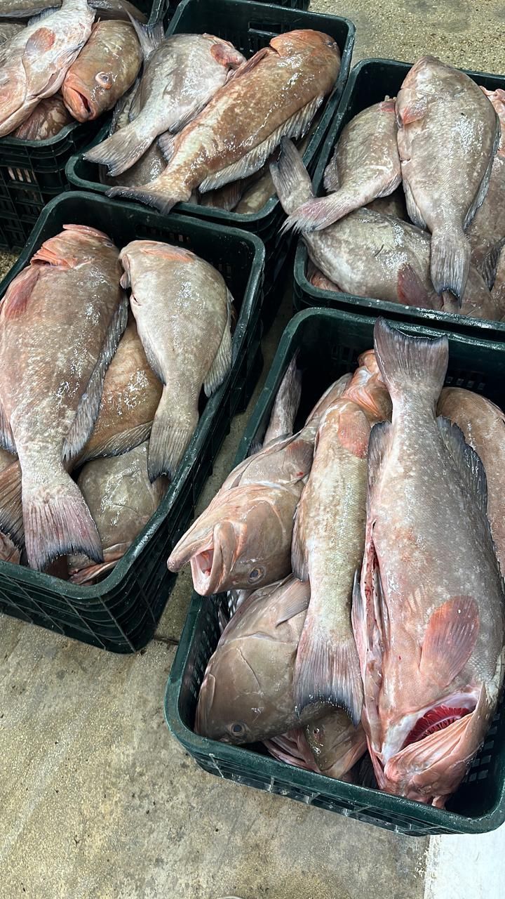 Fresh fish laid out in black crates at a market stall, with silver-gray scales visible.