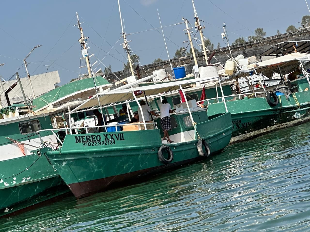 Green fishing boats docked on calm water at a harbor on a sunny day