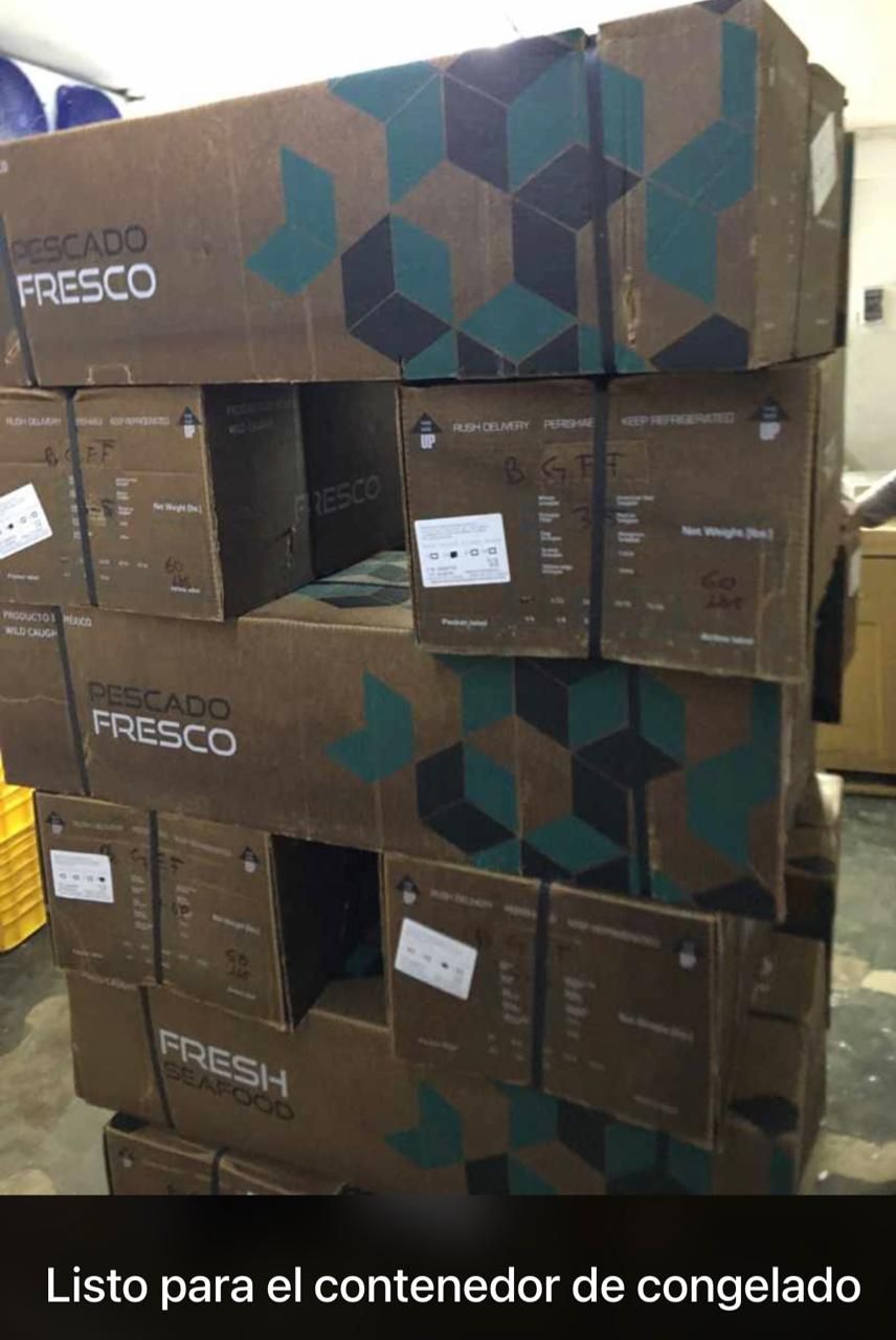 Caja apiladas de alimentos Fresco y Fresh, listas para el contenedor de congelado.