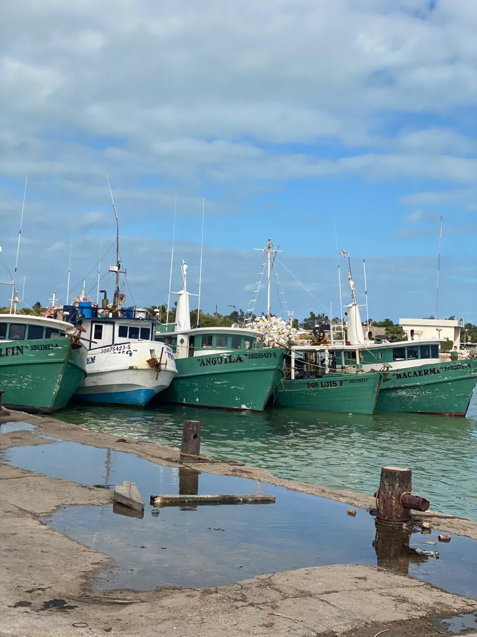 Fishing boats docked at a harbor beside a wet concrete pier under a partly cloudy sky