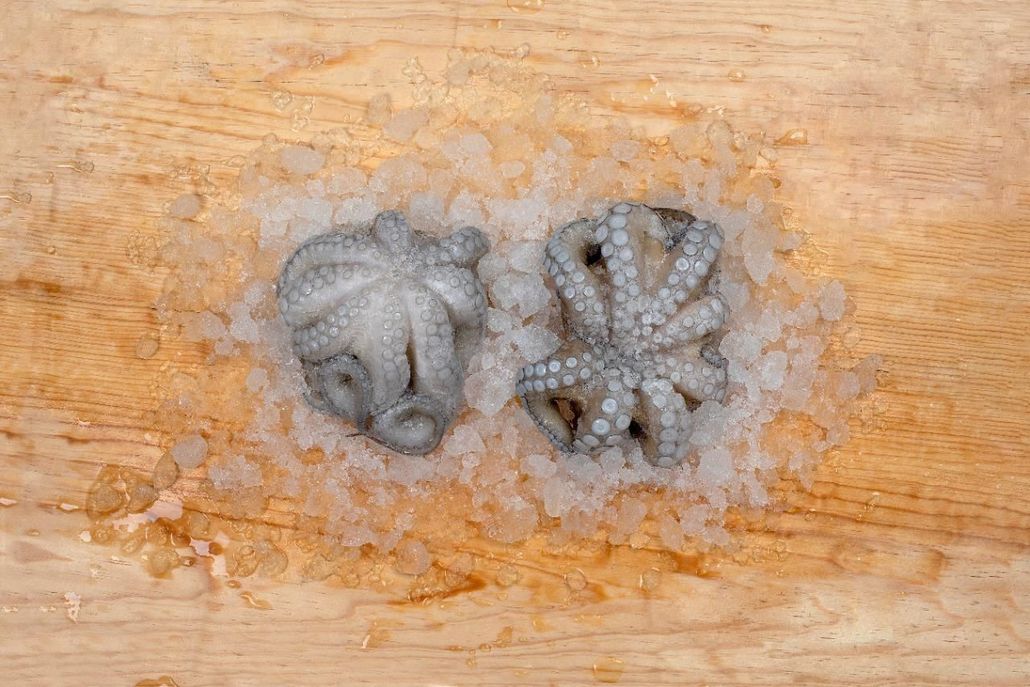 Two small gray insects on a wooden surface, one curled and one with open wings
