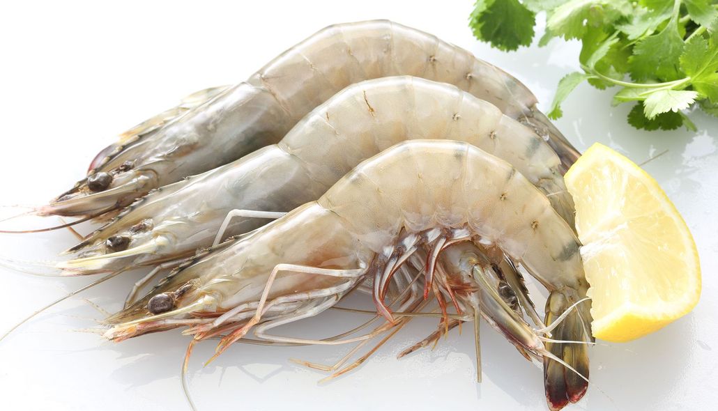 Raw shrimp on a white plate with a lemon wedge and parsley garnish
