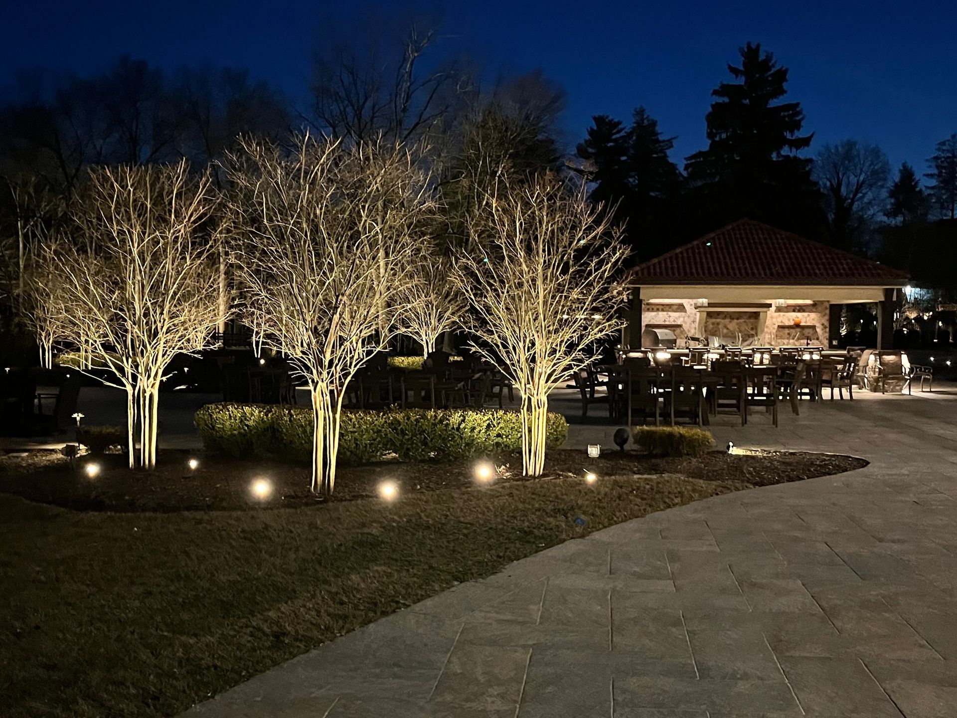 A row of trees are lit up at night with a gazebo in the background.
