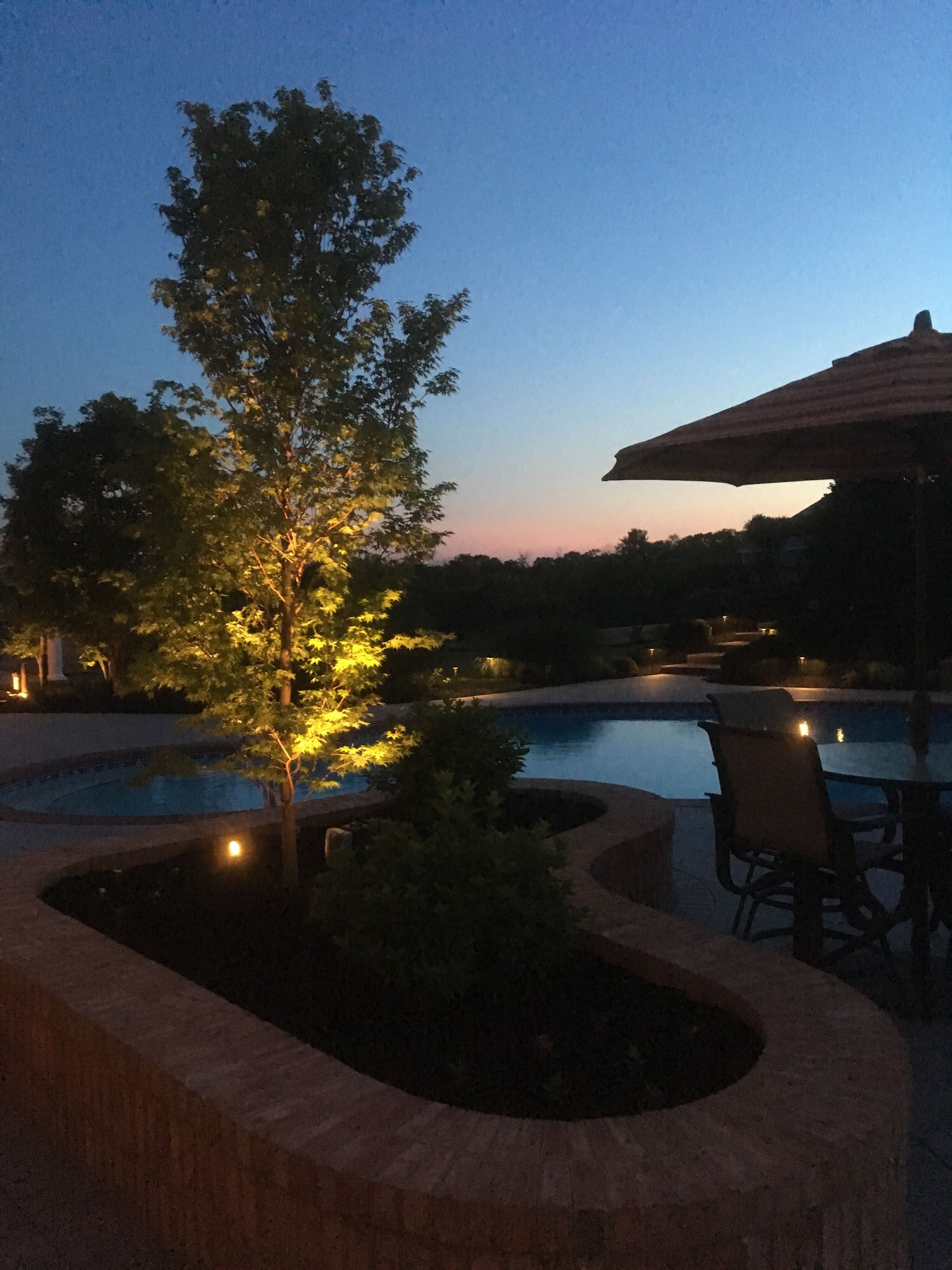A tree is lit up in front of a pool at night.