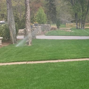 a lawn sprinkler is spraying water on a lush green lawn