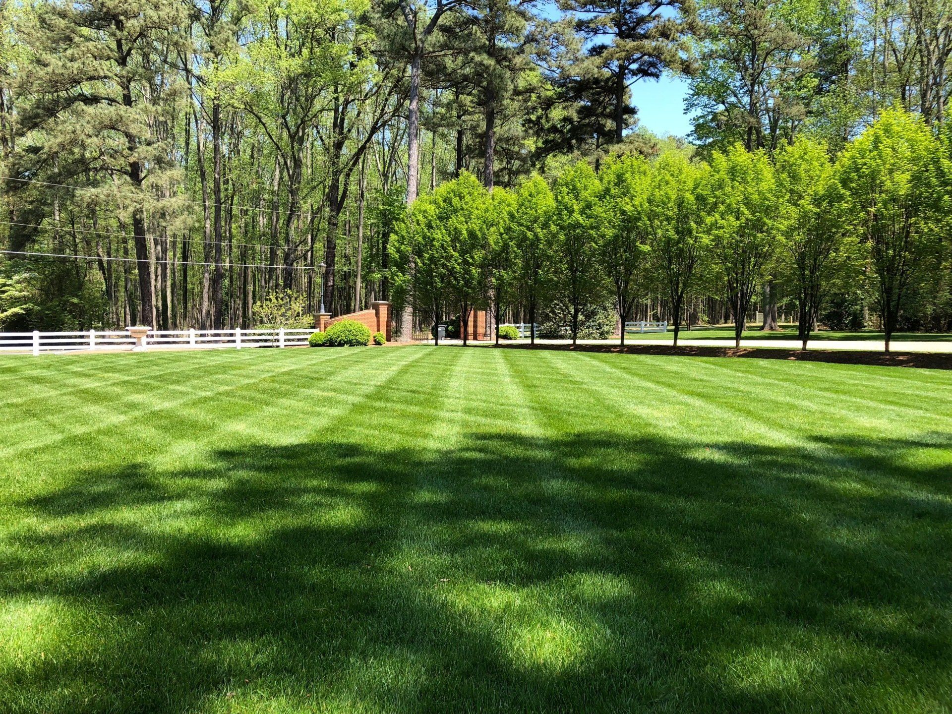 A lush green lawn with a white fence and trees in the background.