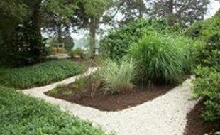 A path in the middle of a garden surrounded by trees and bushes.