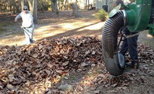 A man is using a leaf blower to blow leaves into a pile.