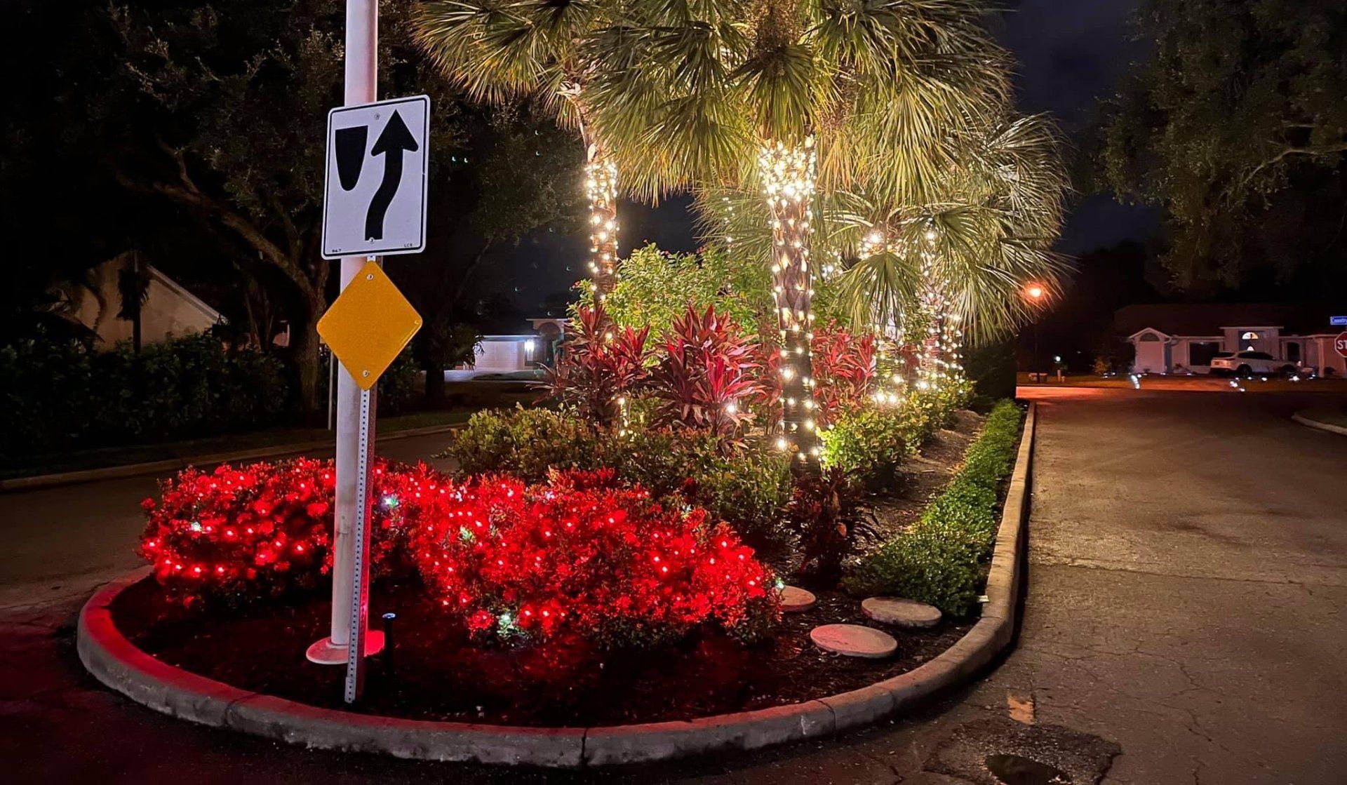 Light Hanging Service Naples, FL Paradise Lights