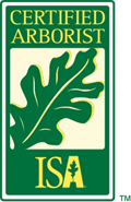 International Society of Arboriculture (ISA), Certified Arborist