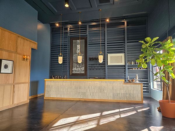 Reception area with a blue wall, wooden counter, and hanging lights. A large plant sits in a terracotta pot.