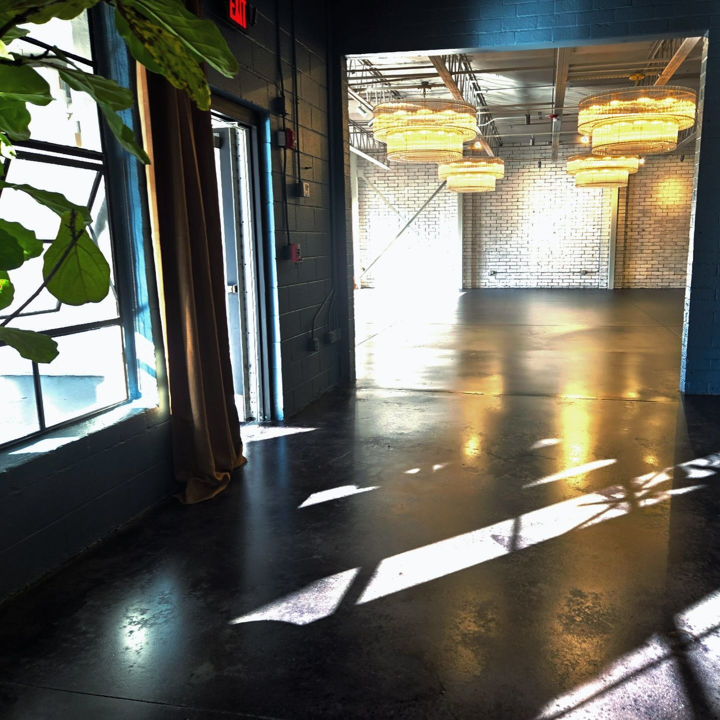 Inside industrial space, bright light from outside shines on a dark floor. Curtains, plants, and pendant lights are present.