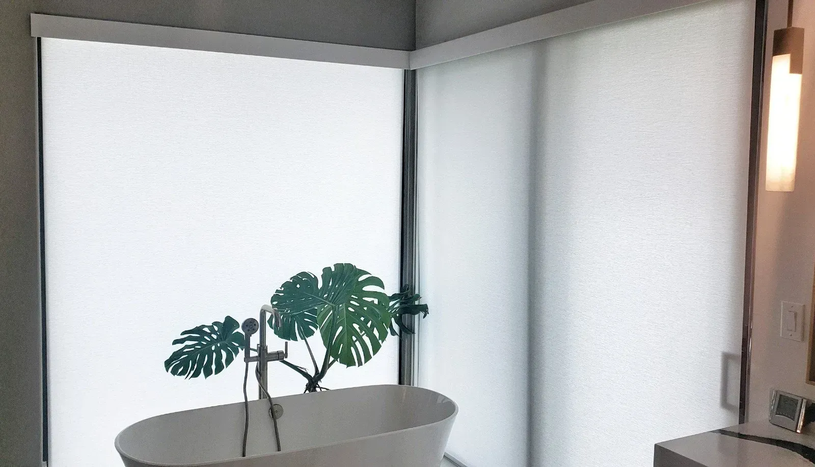 Indoor corner with sheer white blinds, a potted monstera plant, and a wall light fixture.