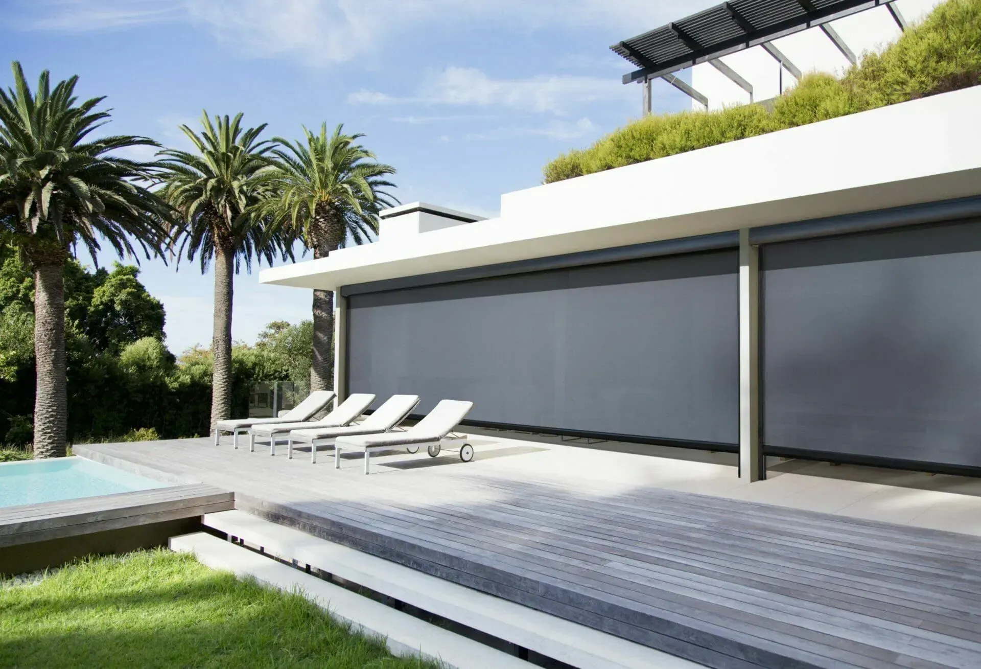 Modern patio with lounge chairs, pool edge, and tall palm trees beside a sleek house