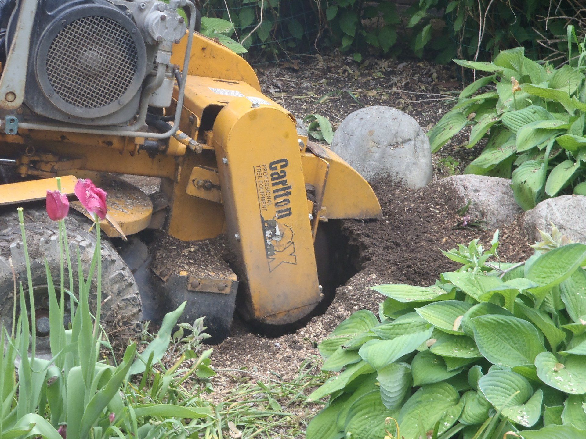Precision Tree & Shrub Services Tree Removal Holly, MI