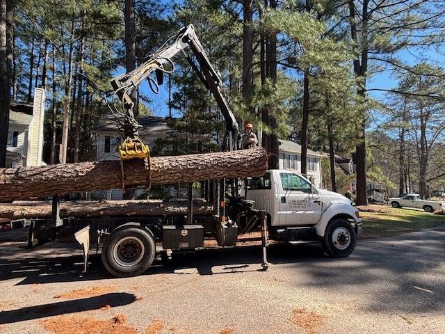 Truck with crane loading large logs on a roadside in a wooded area