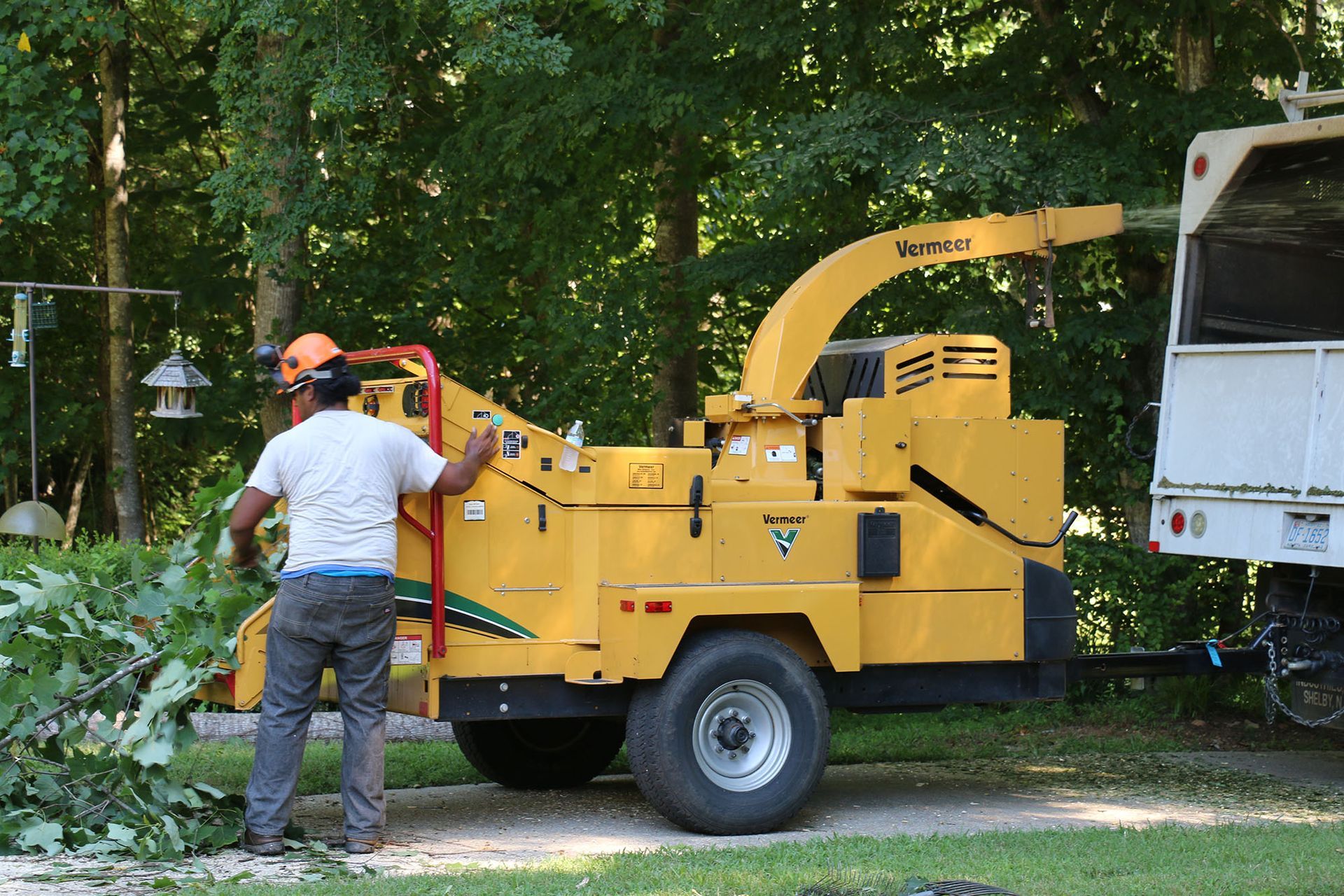Worker operating a yellow wood chipper beside a white truck in a leafy outdoor area