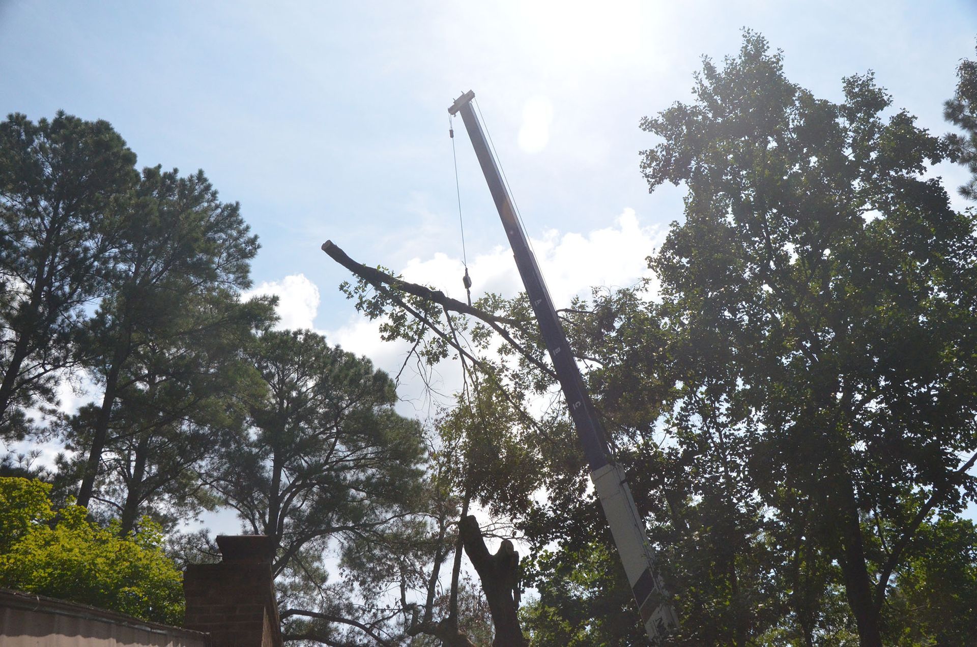 Tall crane or pole silhouetted against a bright sky above trees and power lines