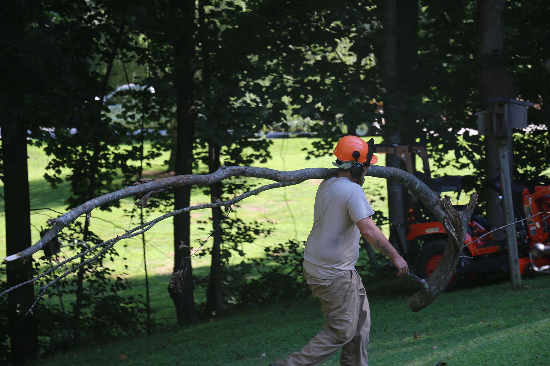 Person in an orange helmet using a chainsaw to cut a large branch in a wooded yard.