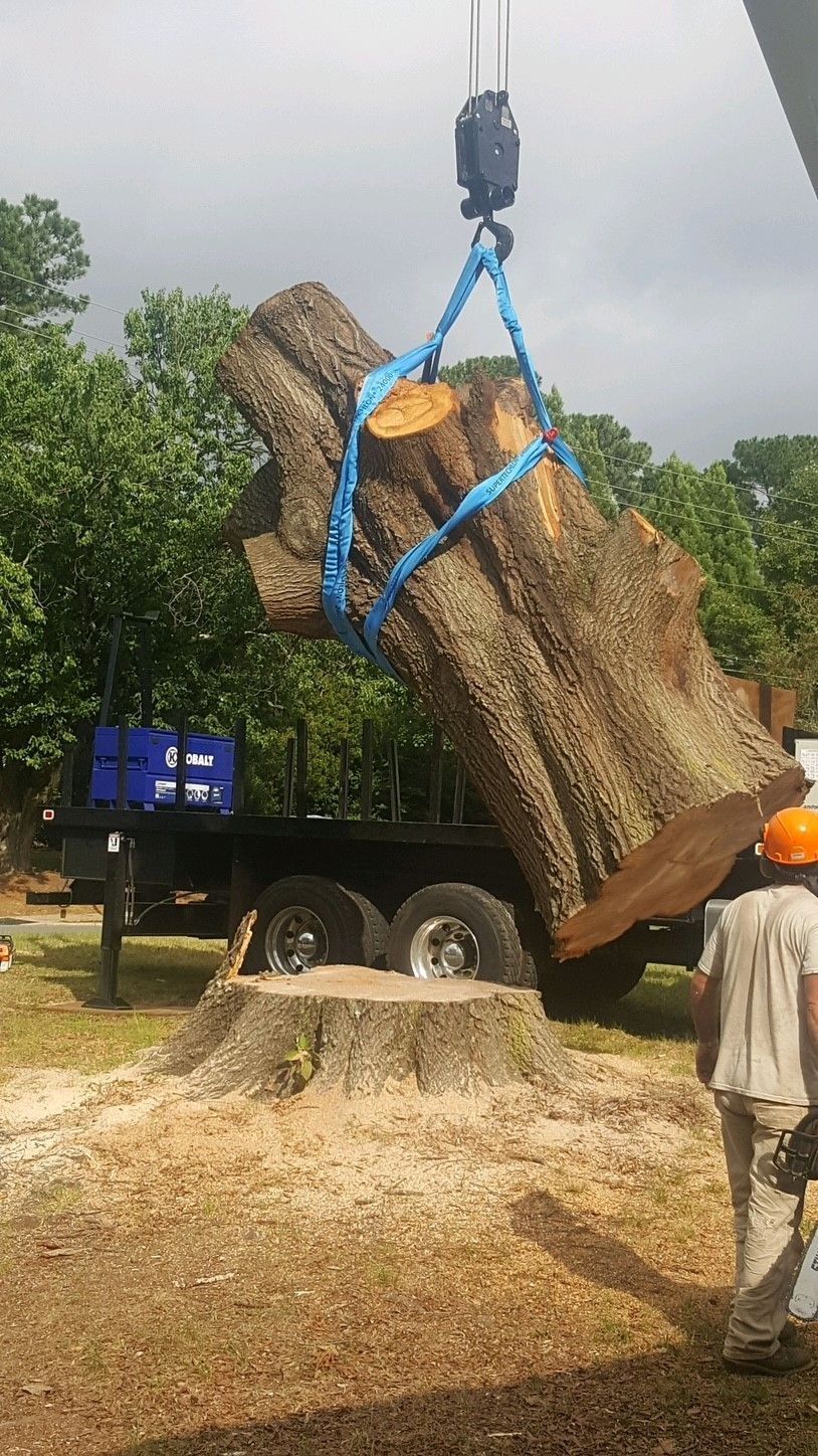 Crane lifting a large tree trunk onto a truck at a roadside worksite