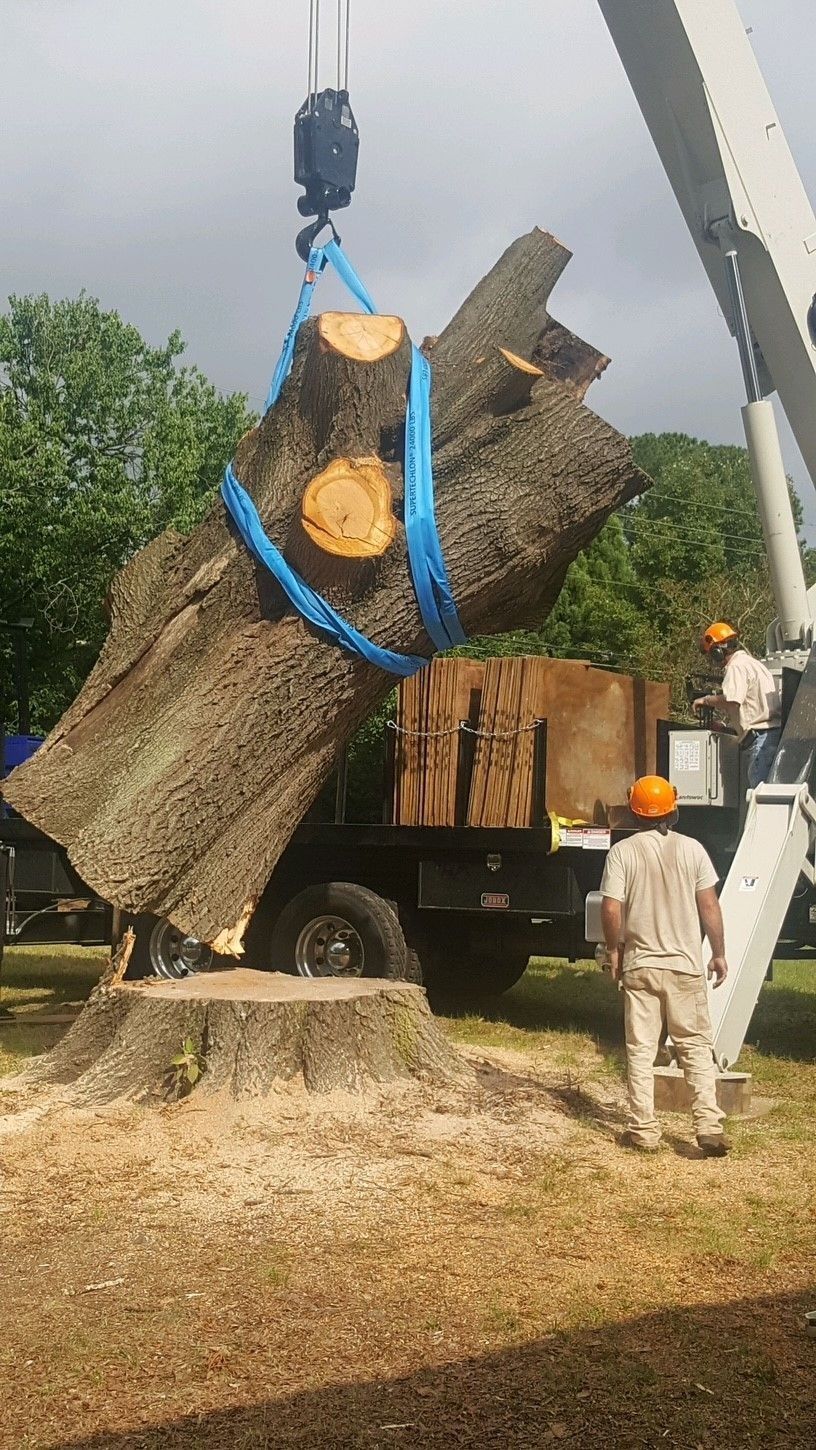 Crane lifting a large tree trunk onto a truck while a worker stands nearby outdoors.